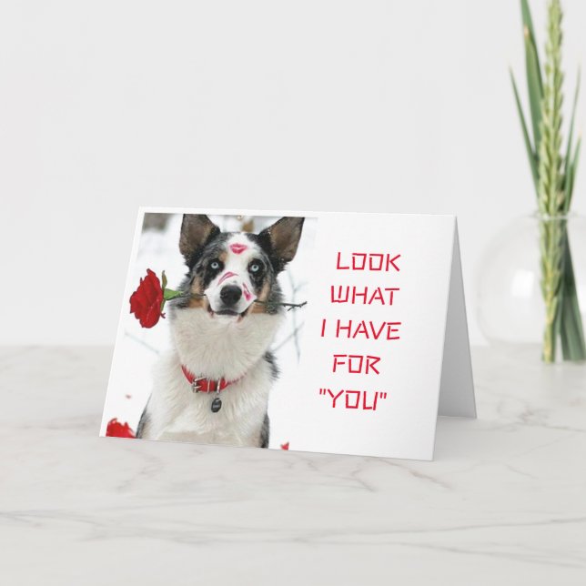 CARTÃO VEJA O QUE "TENHO POR VOCÊ" DIA OU NOITE ESPECIAL (Frente)