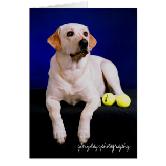 Cartão veleiro estúdio, fotografia glorydaysphoto