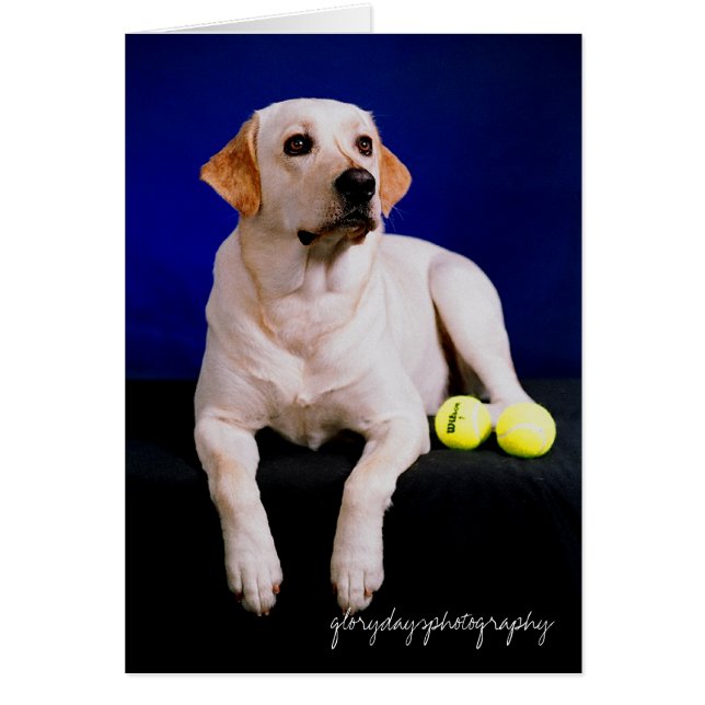 Cartão veleiro estúdio, fotografia glorydaysphoto (Frente)