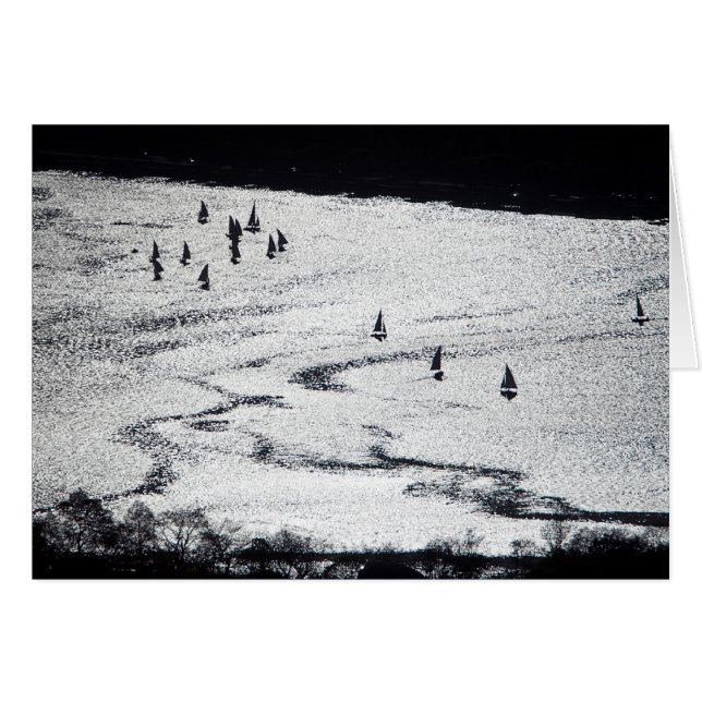 Cartão Veleiros na silhueta, bacia de Charles River, (Frente Horizontal)