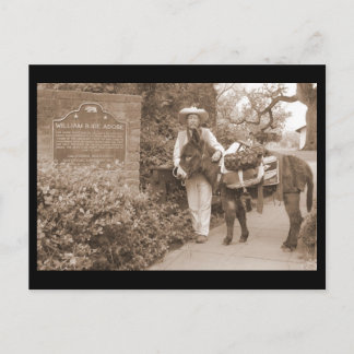 Cartão velho do asno do tempo