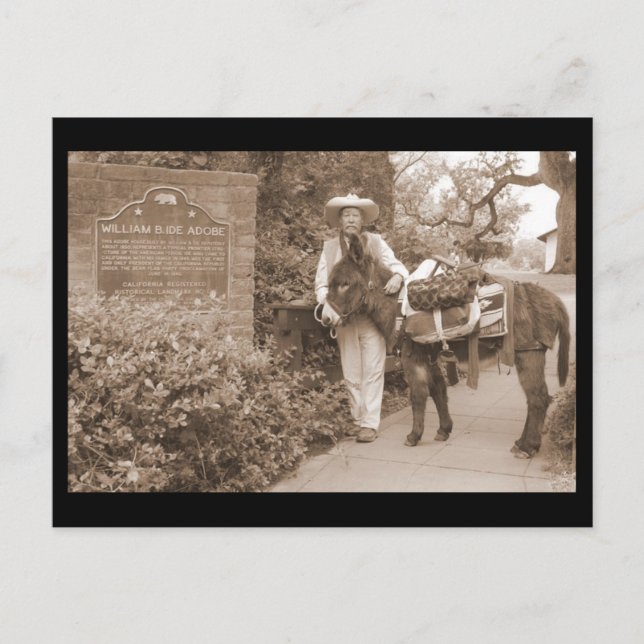 Cartão velho do asno do tempo (Frente)