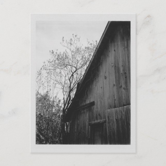 Cartão velho do celeiro (Frente)