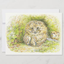 Velho Sr. Prickly Pin (ouriço) (por Beatrix Potter