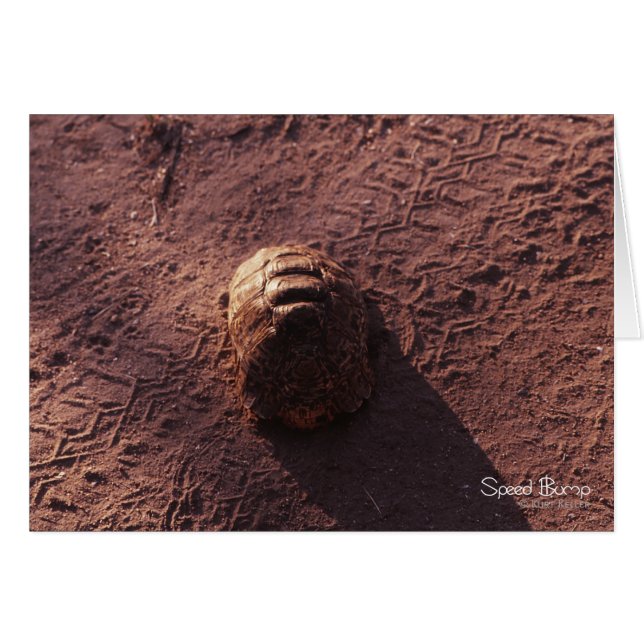 Cartão Velocidade (Frente horizontal)