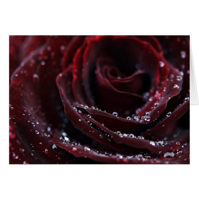 Cartão Veludo vermelho (Frente Horizontal)