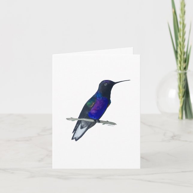Cartão Velvet-roxo Coronet Hummingbird (Frente)