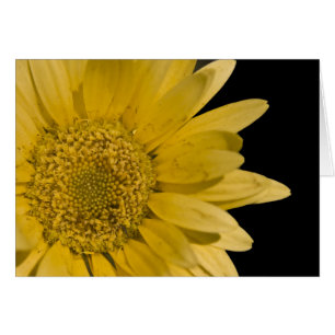 Cartão vem aqui o sol