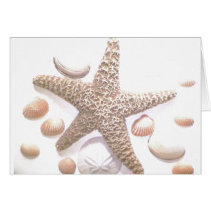 Cartão Vende escudos do mar