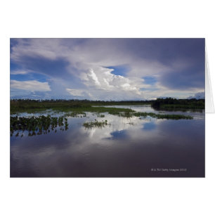 Cartão Venezuela, Delta Amacuro, Orinoco Delta