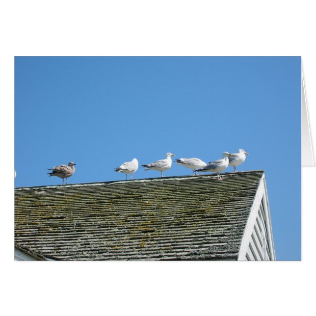 Cartão Venha junto (Frente horizontal)