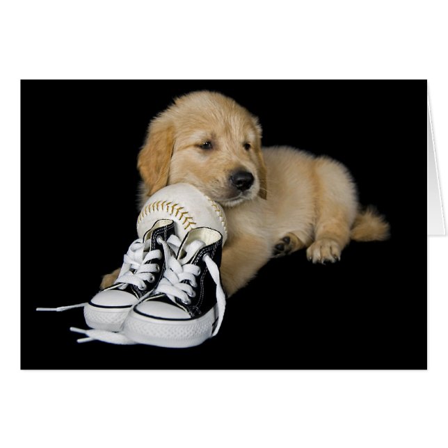 Cartão Ventilador do esporte (Frente horizontal)