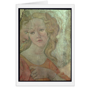 Cartão Venus e as três benevolências que oferecem a