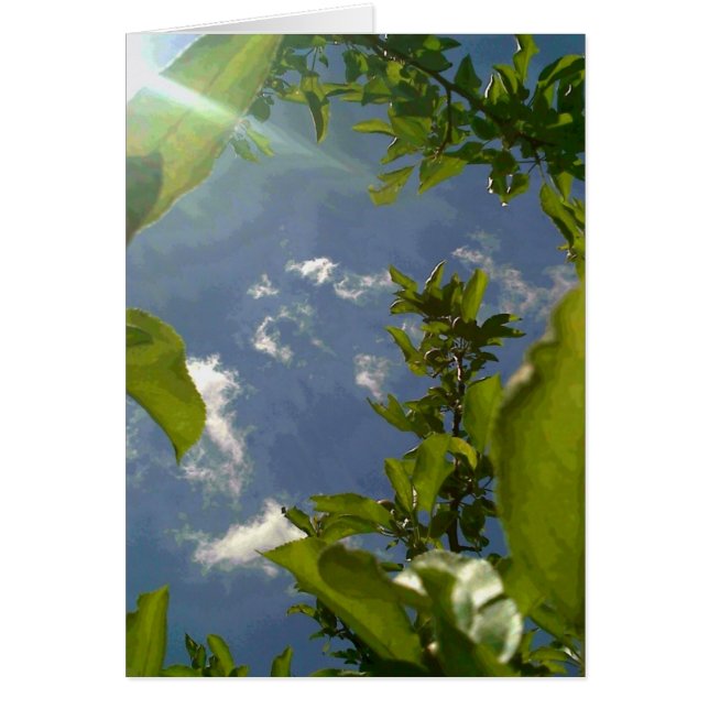 Cartão Ver na Árvore da Maçã (Frente)