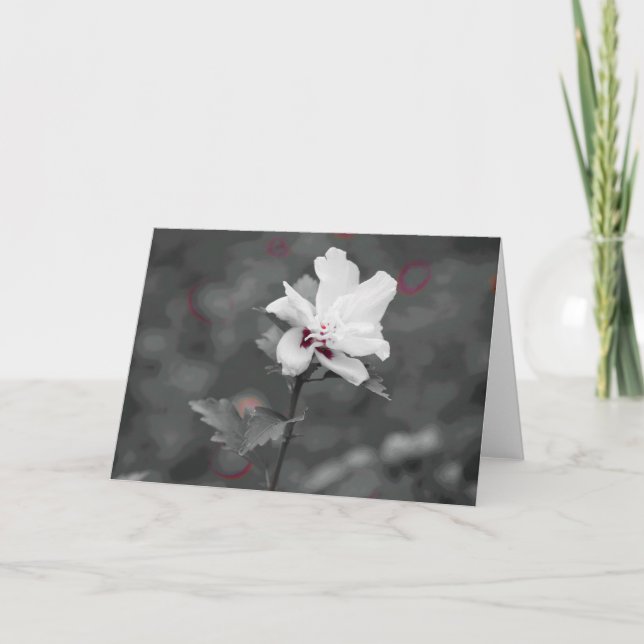 Cartão Verão (Frente)