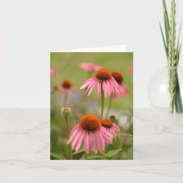 Cartão Verão em Boémia (Frente)