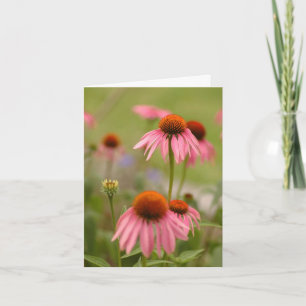 Cartão Verão em Boémia