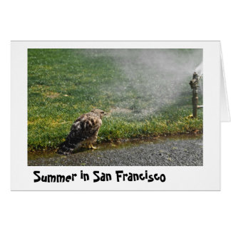 Cartão Verão na cidade