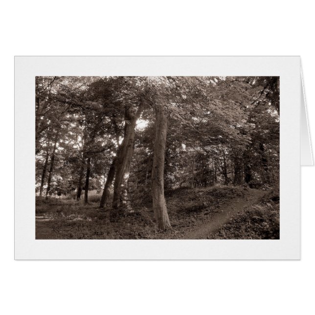 Cartão Verão na floresta - Tonelada quente (Frente Horizontal)