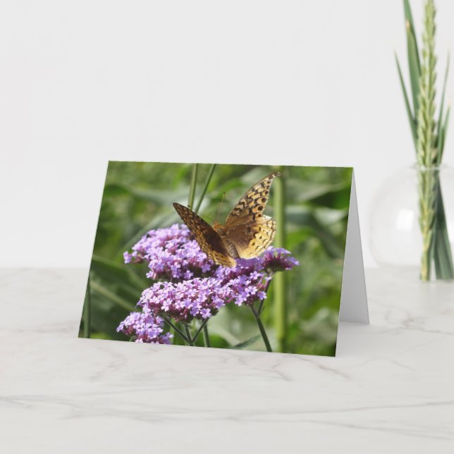 Cartão Verbena and butterfly notecard (Frente)
