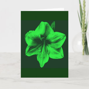 Cartão Verde Amaryllis