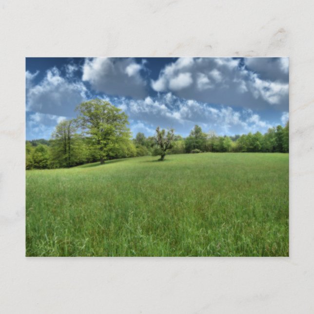 Cartão verde apalaches (Frente)