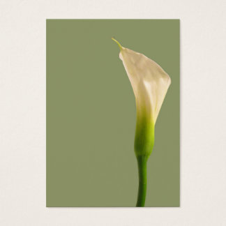 Cartão Verde Calla Lily Sage