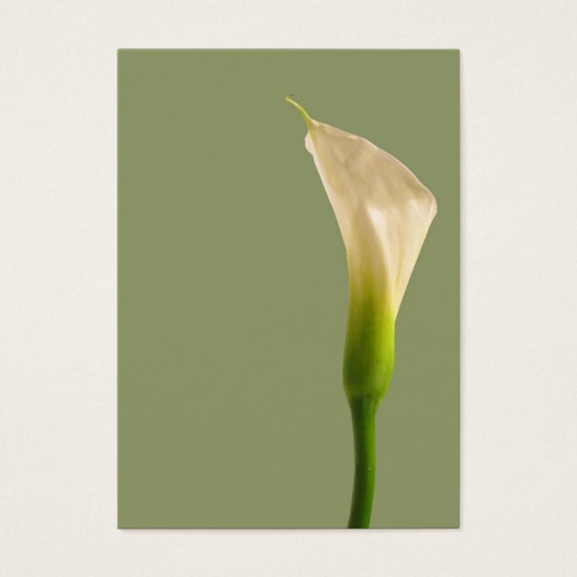 Cartão Verde Calla Lily Sage (Frente)