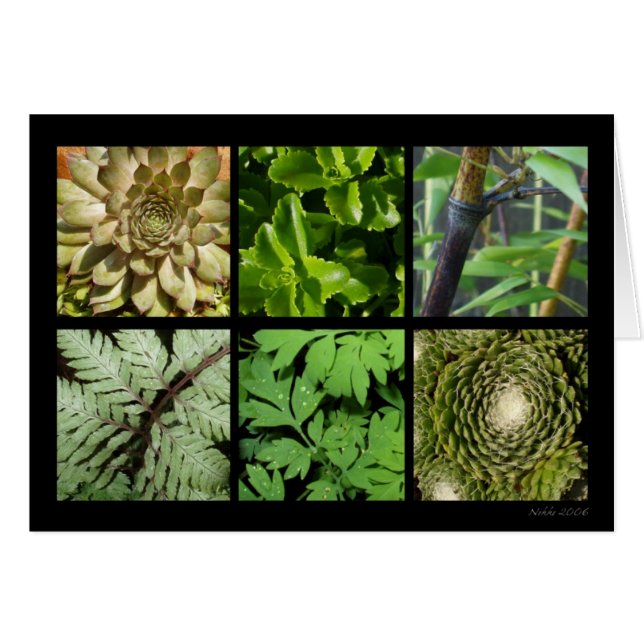 Cartão verde da folha (Frente Horizontal)