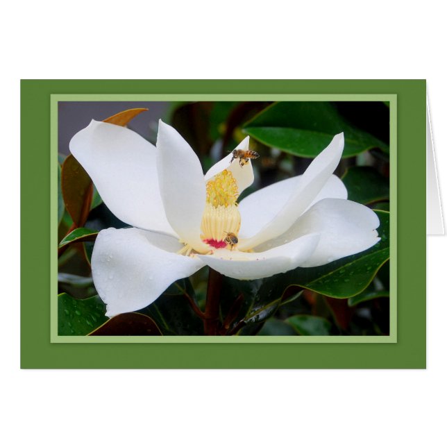 Cartão Verde da Magnolia e Abelhas de Mel (Frente Horizontal)