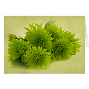 Cartão verde das mães