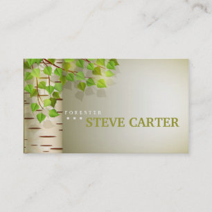 Cartão verde de Birsh da natureza da árvore de