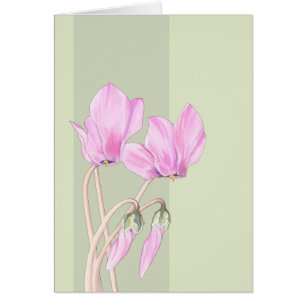 Cartão verde de Cyclamens rosa