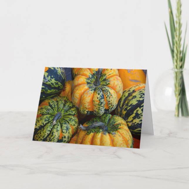 Cartão verde e laranja para abóboras (Frente)