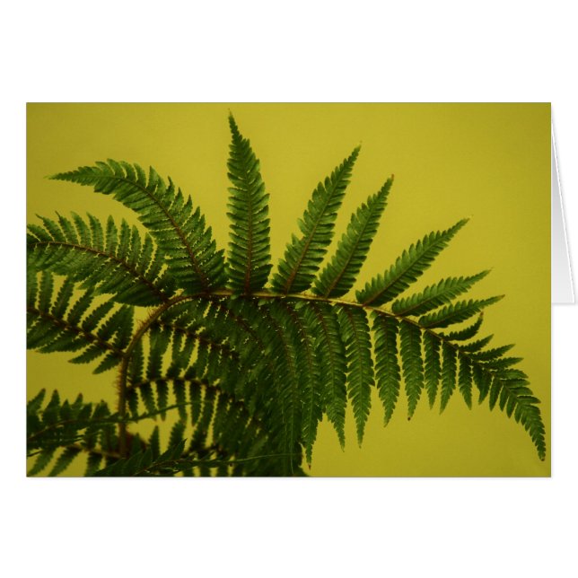 Cartão "verde" por Larry Coressel (Frente Horizontal)