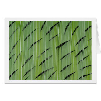 Cartão Verdes de bambu