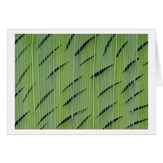 Cartão Verdes de bambu (Frente Horizontal)