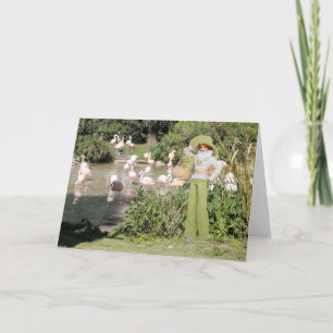Cartão Verdi, Flamingos at the Houston Zoo