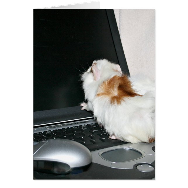 Cartão Verificando e-mail (Frente)