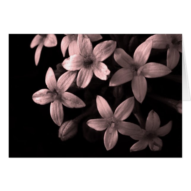 Cartão vermelho (Frente Horizontal)