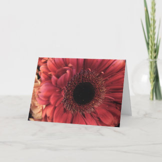 Cartão Vermelho antigo - Aniversário