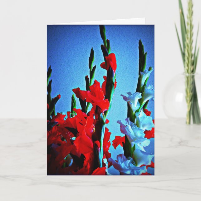Cartão vermelho, branco e azul (Frente)