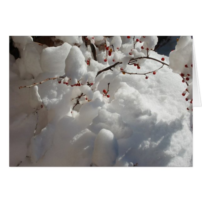 Cartão Vermelho, branco e frio (Frente horizontal)