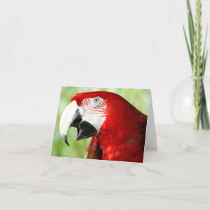 Cartão Vermelho Brilhante