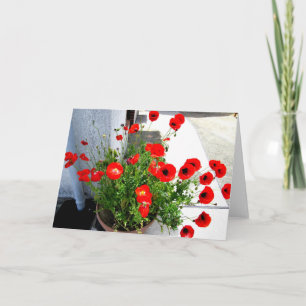 Cartão vermelho da foto das papoilas