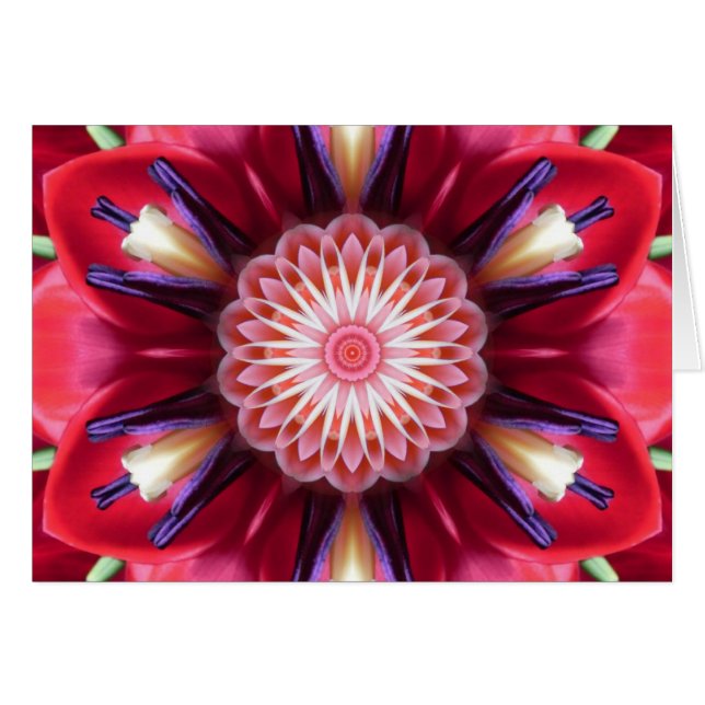 Cartão vermelho da mandala da estrela da flor (Frente Horizontal)
