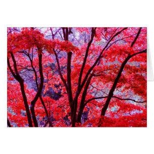 Cartão vermelho de outono