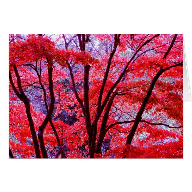 Cartão vermelho de outono (Frente Horizontal)