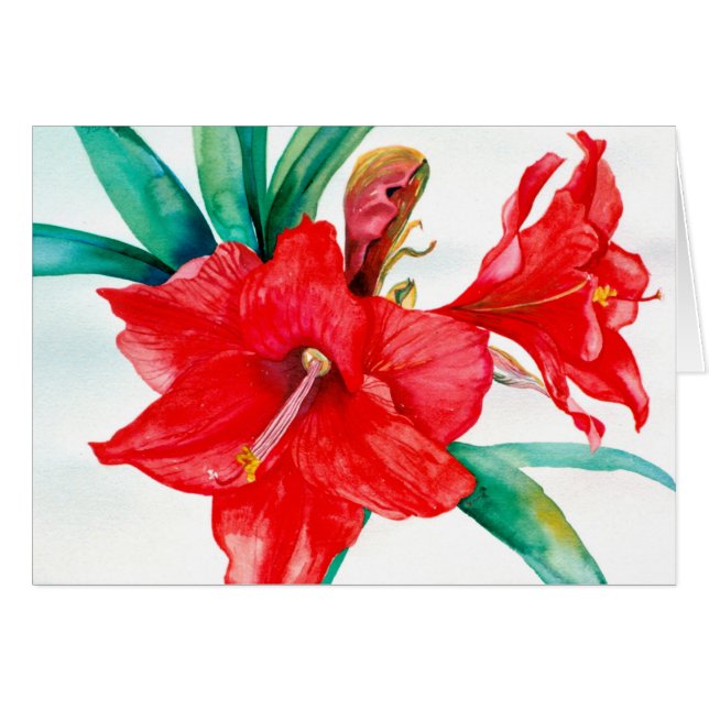 Cartão vermelho de PMACarlson Amarylis (Frente Horizontal)