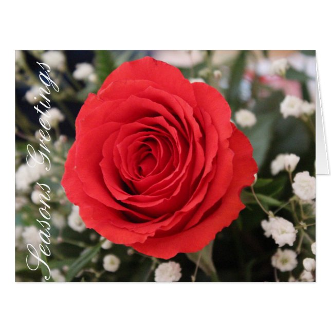 Cartão Vermelho e Branco Flor (Frente horizontal)